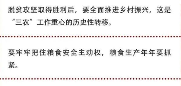 2020年中央農村工作會議精神速覽！(圖2)