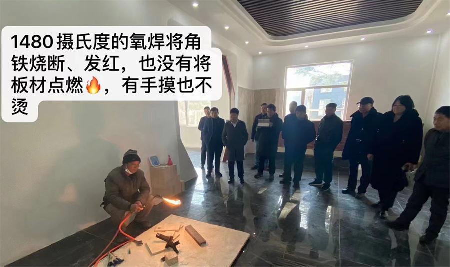 纖維增強覆面木基裝配式房屋技術(shù)研討會成功舉辦(圖5)