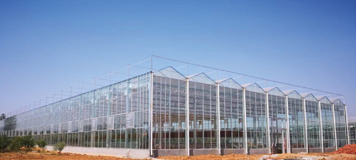 信橋鋼構(gòu)：打卡蒙陰農(nóng)業(yè)溫室大棚、青州黑牛養(yǎng)殖基地！(圖2)